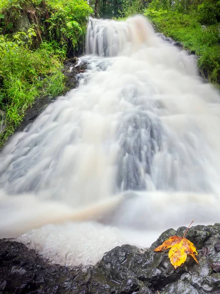 渓流には色とりどりの紅葉が広がります 渓流のパスフォードで苔むした石の上に波 — ストック写真