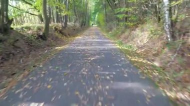 4K araç POV Dağ Yolu manzaralı. Sonbahar sezonunun başında park yolunda öğleden sonra mercekleriyle gezmek..