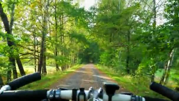 Vista Para Televisão Passeio Bicicleta Estrada Parque Outono Durante Início — Vídeo de Stock