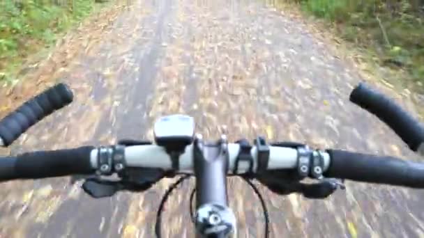 Mountainbiken Bospark Bergafwaarts Dalend Fiets Zicht Van Biker Sadle Handen — Stockvideo