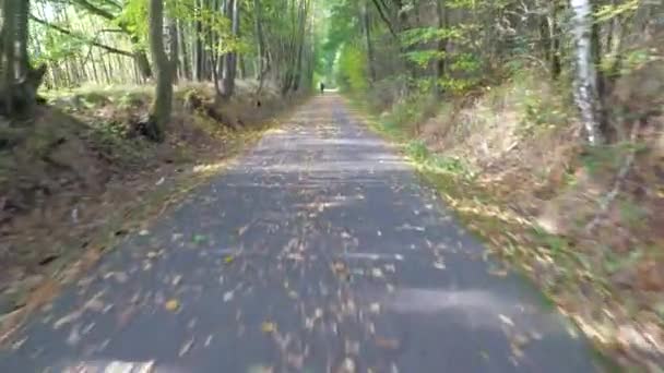 Veicolo Pov Mountain Road Vista Guida Cavalcando Lungo Strada Del — Video Stock