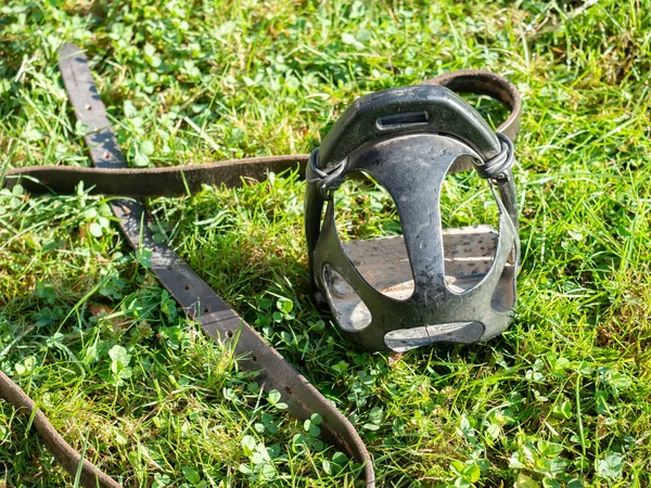 Kunststoffbügel Und Lederstreifen Vom Pferdesattel Gras Sattelwechsel — Stockfoto
