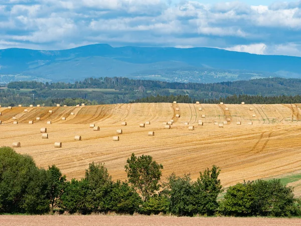 Ballots Paille Sur Champ Herbe Paysage Avec Prairie Forêt Collines — Photo