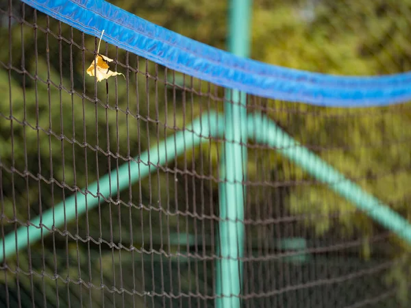 Close Volleyball Nets Blue Poles Empty Sand Court Lush Green — Stock Photo, Image