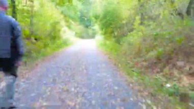 Orman yolundan MTB sürücüsü aşırı hızlı POV. Fautumn Ormanı 'nda asfalt yolu takip ediyoruz.