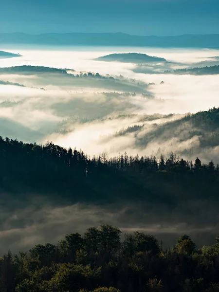 秋の霧の風景 オレンジの日の出の太陽と初秋の森 自然の背景と魔法の謎 自然の霧の太陽 — ストック写真