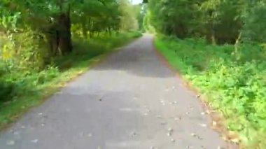 Sübjektif kamera renkli bir sonbahar ormanında hareket eder. Güzel bir yer. Zaman aşımı.