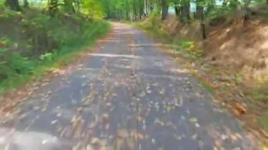 Hiperlapse. Sübjektif kamera sonbahar ormanlarında, güneşli sonbahar günlerinde yol boyunca ilerler.