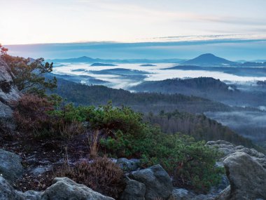 Keskin ağaç tepeleri ve ormanda koyu mavi tepeleri olan sisli sonbahar manzarası. Sisli dağ vadisi