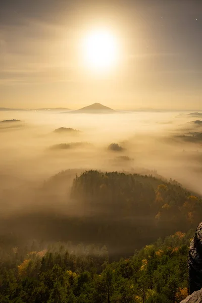 Luna Splendente Nebbia Bianca Terra Foresta Colorata Conifere Sempreverdi Paesaggio — Foto Stock