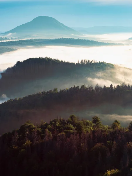 Nevoeiro Colorido Vale Montanha Paisagem Com Vista Para Floresta Coníferas — Fotografia de Stock