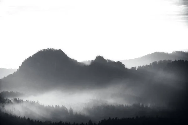 日出在捷克 萨克森瑞士美丽的山上 陡峭的山丘在雾蒙蒙的背景下生长 阳光下的雾气是橙色的 — 图库照片