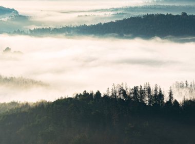 Dağ vadisinde renkli bir sis var. Tepenin tepesinden kozalaklı orman manzaralı manzara. Fantastik parlayan manzara