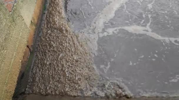 Biomassa Digestível Espumosa Tanque Sedimentação Lago Para Secagem Esgoto Drenagem — Vídeo de Stock
