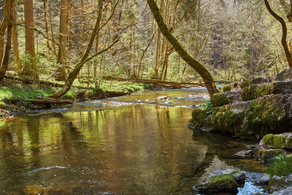 Senderismo en el cañón del río Gauchach en el bosque negro en Germa — Foto de Stock