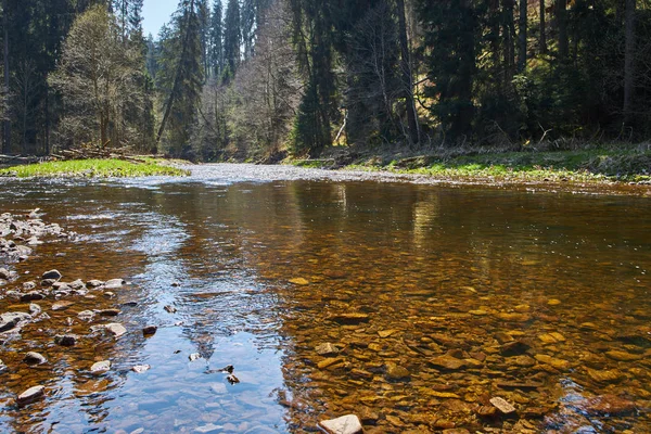 Řeka Wutach se stromy odrážejícími v mělké vodě v t — Stock fotografie