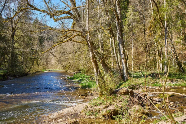 Pěší turistika v údolí řeky gauchach v černém lese v germatu — Stock fotografie