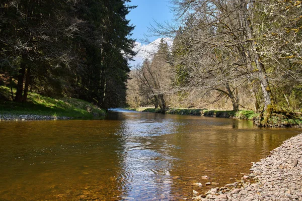 Senderismo en el cañón del río Wutach en el bosque negro en Alemania — Foto de Stock