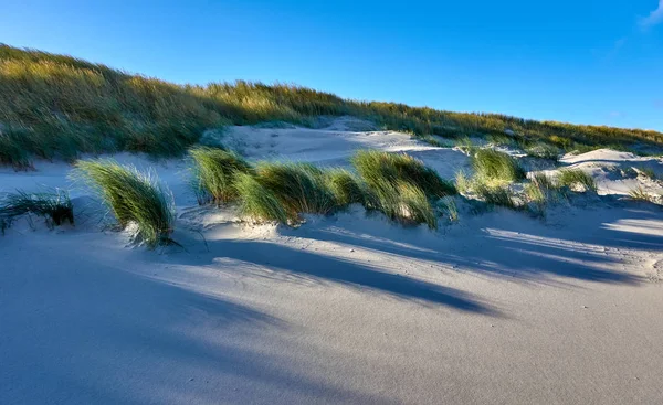 Dunas na ilha de wangerooge no mar do norte na alemanha — Fotografia de Stock