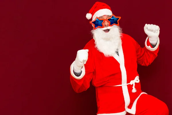 Holly Vidám Karácsony Varázslat Diadal Koncepció Cool Vicces Játékos Biddle — Stock Fotó