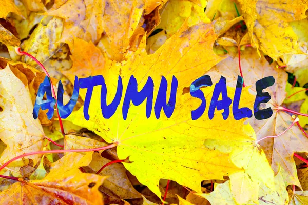 Text Podzimního Prodeje Podzimní Příroda Pozadí Žluté Javorové Listy Parku — Stock fotografie