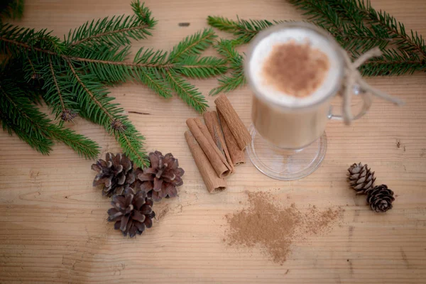 Çikolatalı Martini Kokteyli Tarçınlı Eggnog Maun Arka Planda Noel Için — Stok fotoğraf