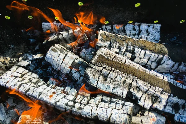 Ready Frying Firewood Burning Brazier Preparation Cooking Kebabs Shish Kebab — Stock Photo, Image