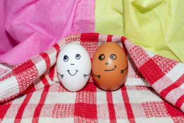 Arkadaşlık kavramı. Farklı renkte iki yumurta bir arada. Tasarımın için fotoğraf. Beyaz kırmızı kareli havluda yumurtalar. Yaklaş..