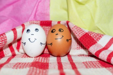 Arkadaşlık kavramı. Farklı renkte iki yumurta bir arada. Tasarımın için fotoğraf. Beyaz kırmızı kareli havluda yumurtalar. Yaklaş..
