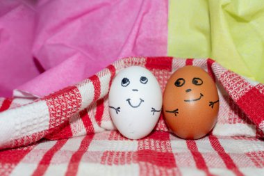 Arkadaşlık kavramı. Farklı renkte iki yumurta bir arada. Tasarımın için fotoğraf. Beyaz kırmızı kareli havluda yumurtalar. Yaklaş..