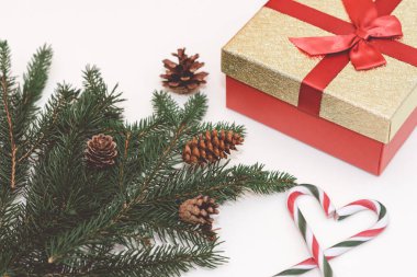 2021 noel konsepti, yeni yıl konsepti. Hediye kutusu, şeker kamışı, şeker kamışı kalp ağacı dalları, firavun ağacı dalları