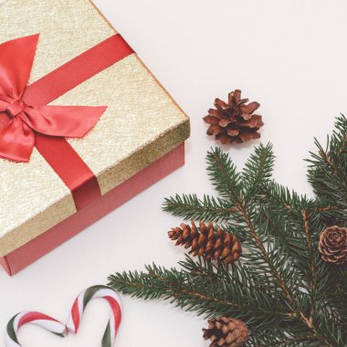 2021 noel konsepti, yeni yıl konsepti. Hediye kutusu, şeker kamışı, şeker kamışı kalp ağacı dalları, firavun ağacı dalları