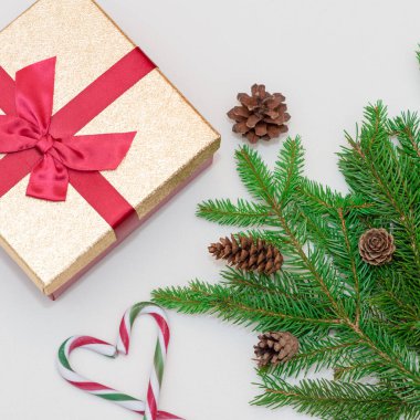 2021 noel konsepti, yeni yıl konsepti. Hediye kutusu, şeker kamışı, şeker kamışı kalp ağacı dalları, firavun ağacı dalları