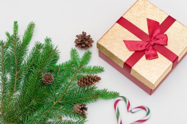 2021 noel konsepti, yeni yıl konsepti. Hediye kutusu, şeker kamışı, şeker kamışı kalp ağacı dalları, firavun ağacı dalları