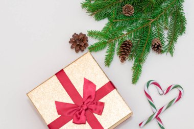 2021 noel konsepti, yeni yıl konsepti. Hediye kutusu, şeker kamışı, şeker kamışı kalp ağacı dalları, firavun ağacı dalları