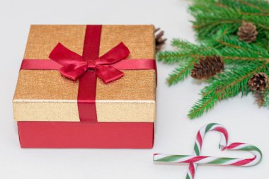 2021 noel konsepti, yeni yıl konsepti. Hediye kutusu, şeker kamışı, şeker kamışı kalp ağacı dalları, firavun ağacı dalları