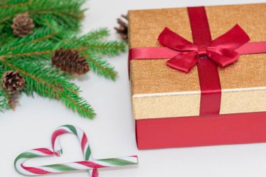 2021 noel konsepti, yeni yıl konsepti. Hediye kutusu, şeker kamışı, şeker kamışı kalp ağacı dalları, firavun ağacı dalları