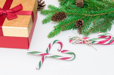 2021 noel konsepti, yeni yıl konsepti. Hediye kutusu, şeker kamışı, şeker kamışı kalp ağacı dalları, firavun ağacı dalları