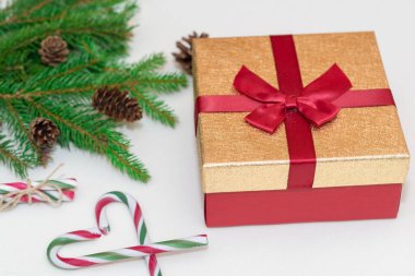 2021 noel konsepti, yeni yıl konsepti. Hediye kutusu, şeker kamışı, şeker kamışı kalp ağacı dalları, firavun ağacı dalları