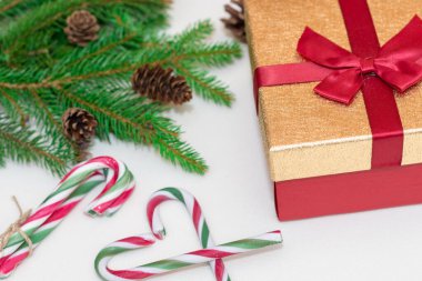 2021 noel konsepti, yeni yıl konsepti. Hediye kutusu, şeker kamışı, şeker kamışı kalp ağacı dalları, firavun ağacı dalları