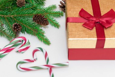 2021 noel konsepti, yeni yıl konsepti. Hediye kutusu, şeker kamışı, şeker kamışı kalp ağacı dalları, firavun ağacı dalları