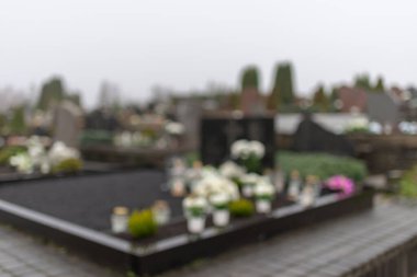 All Saints Günü. Arka plan bulanık. 1 Kasım 'da sonbahar mevsiminde çiçek açan sisli bir sabah..