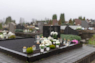 All Saints Günü. Arka plan bulanık. 1 Kasım 'da sonbahar mevsiminde çiçek açan sisli bir sabah..