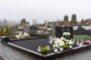 All Saints Günü. Arka plan bulanık. 1 Kasım 'da sonbahar mevsiminde çiçek açan sisli bir sabah..