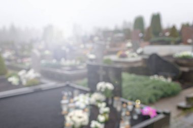 All Saints Günü. Arka plan bulanık. 1 Kasım 'da sonbahar mevsiminde çiçek açan sisli bir sabah..