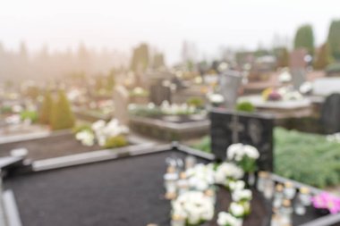 All Saints Günü. Arka plan bulanık. 1 Kasım 'da sonbahar mevsiminde çiçek açan sisli bir sabah..