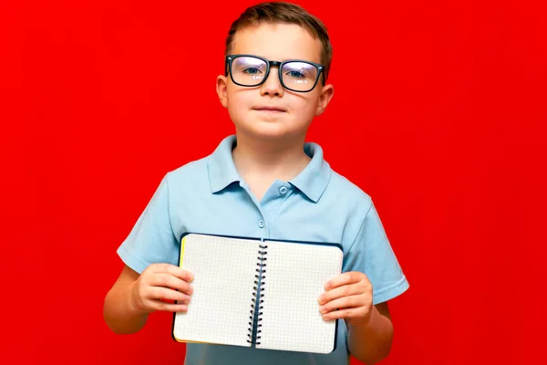 Cuccessful Poważny Chłopiec Kaukaski Jasnoniebieskim Shirt Okulary Trzyma Pokazuje Palcem — Zdjęcie stockowe