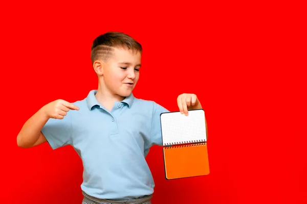 Strani Cuccessful Sorridente Calma Ragazzo Caucasico Una Shirt Azzurro Tiene — Foto Stock