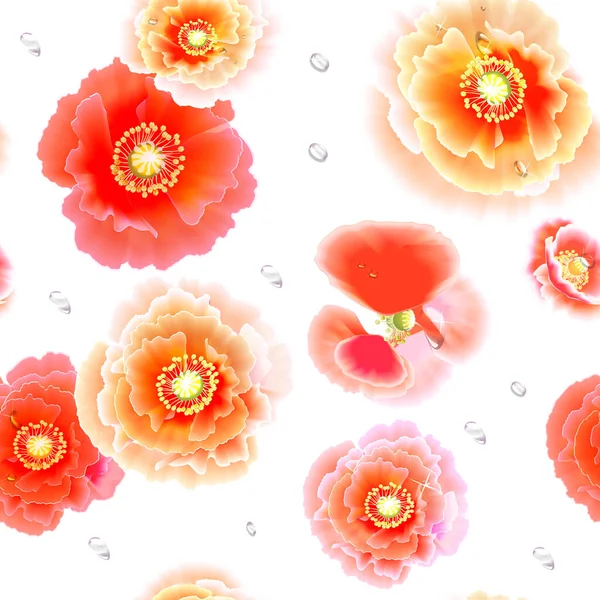 Flores Grandes Rosas Rojas Amapolas Diferente Transparencia Textura Sin Costuras — Foto de Stock