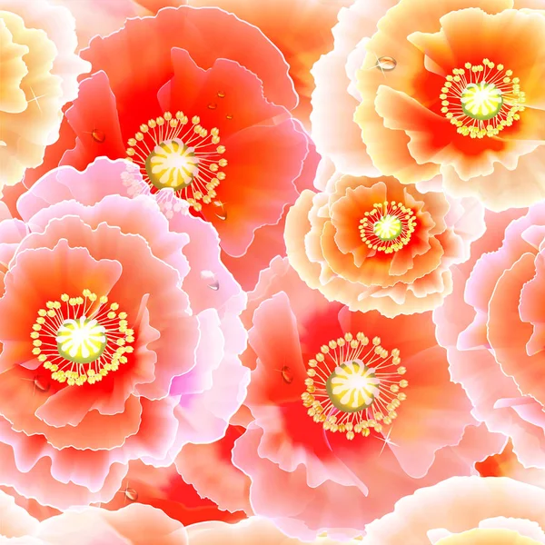 Padrão Sem Costura Grandes Poppies Lots Rosa Vermelho Belas Flores — Fotografia de Stock